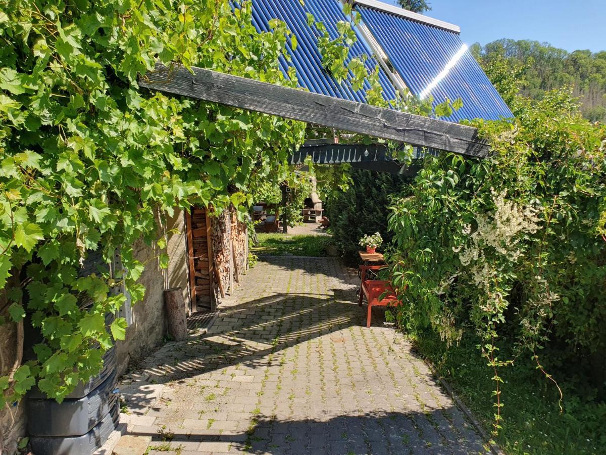 Das Gruene Haus Am Hexenstieg 鲁贝兰德 外观 照片